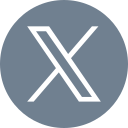 x logo